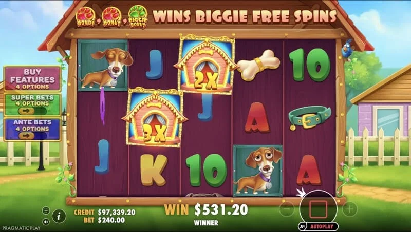 The Big Dog House - vincita nel gioco base