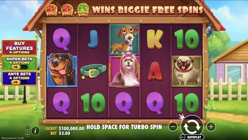 The Big Dog House - schermata principale con i rulli
